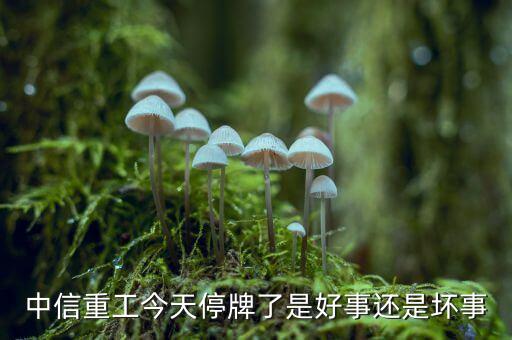 中信重工什么時(shí)候復(fù)牌，中信重工今天停牌了是好事還是壞事
