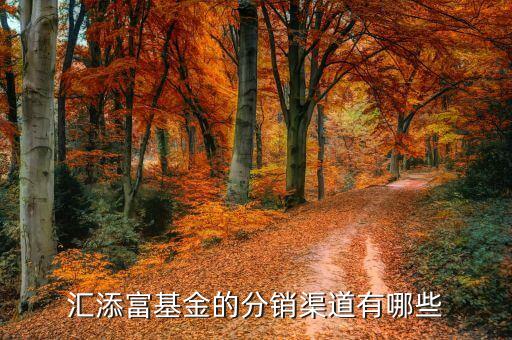 000878基金什么機構(gòu)代銷，匯添富基金的分銷渠道有哪些