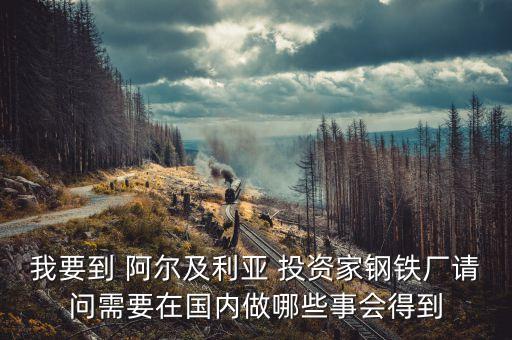 阿爾及爾投資什么好，本人打算去非洲做生意 都需要準(zhǔn)備些什么