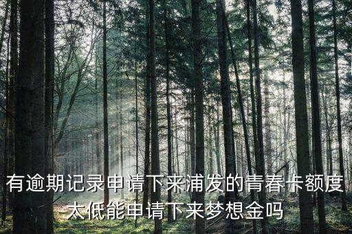 為什么青春卡夢(mèng)想金要等一個(gè)月，浦發(fā)信用卡青春卡的夢(mèng)想金是開(kāi)卡就可以申請(qǐng)的還是等一個(gè)月
