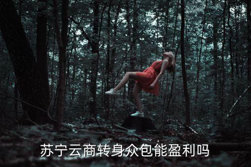 蘇寧眾包什么時(shí)候上線，蘇寧云商轉(zhuǎn)身眾包能盈利嗎