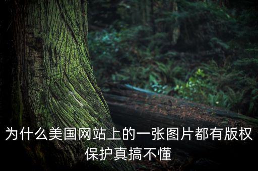 為什么國外重視版權(quán)，為什么美國網(wǎng)站上的一張圖片都有版權(quán)保護(hù)真搞不懂