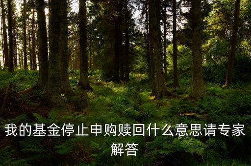 我的基金停止申購(gòu)贖回什么意思請(qǐng)專家解答