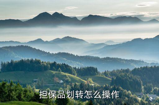 擔保品轉(zhuǎn)入是什么，融資融卷中的擔保品劃轉(zhuǎn)是什么意思