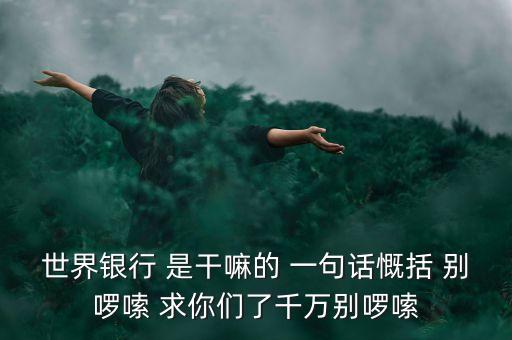 世界銀行 是干嘛的 一句話(huà)慨括 別啰嗦 求你們了千萬(wàn)別啰嗦