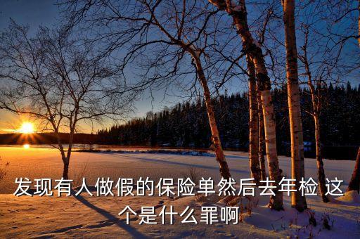 什么是做假保單，發(fā)現(xiàn)有人做假的保險單然后去年檢 這個是什么罪啊