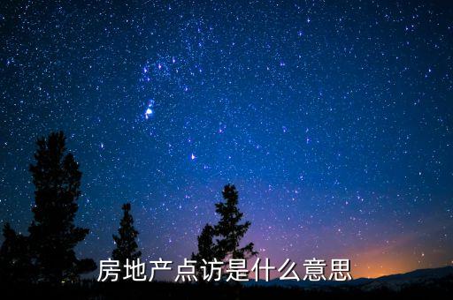 房地產點訪是什么意思