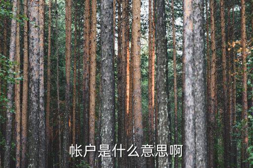 房地產(chǎn)預(yù)設(shè)帳戶是什么意思，房地產(chǎn)點(diǎn)訪是什么意思
