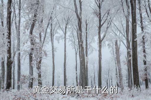 交易所是干什么的，黃金交易所是干什么的