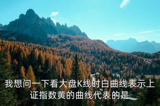 我想問(wèn)一下看大盤(pán)K線(xiàn)時(shí)白曲線(xiàn)表示上證指數(shù)黃的曲線(xiàn)代表的是