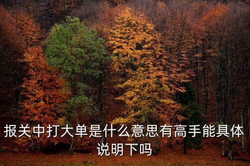 報關(guān)中的大單是什么意思，報關(guān)單里打大單是指哪些單怎么打