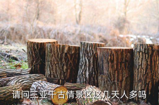 三亞千古情景區(qū)什么時候開園，三亞千古情開園時間是多少啊