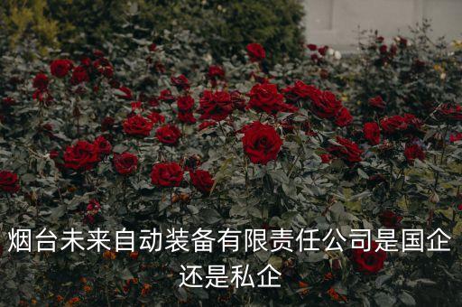 煙臺(tái)未來自動(dòng)裝備有限責(zé)任公司是國企還是私企