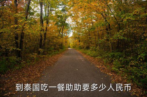 助幣是什么意思，到泰國(guó)吃一餐助助要多少人民幣
