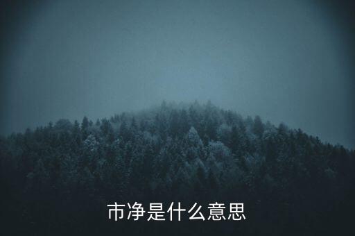 什么叫市凈率，什么是市凈率和市盈率