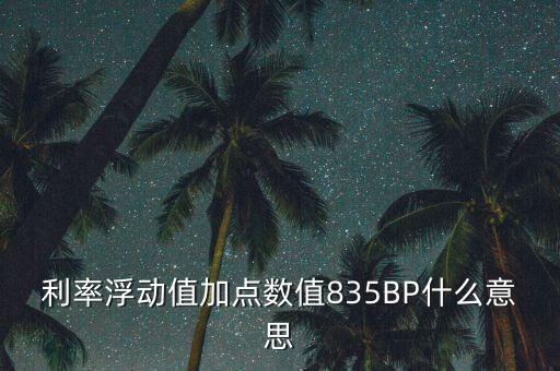 利率加點什么意思，貸款利率定價方式中加點幅度是什么意思