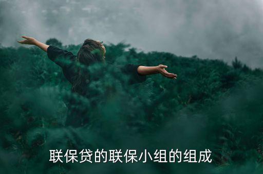 貸款中小組聯(lián)保特征是什么，聯(lián)保貸的聯(lián)保小組的組成