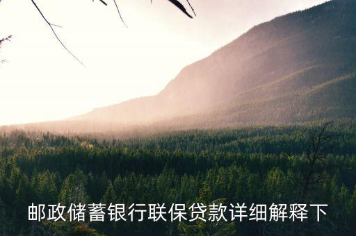 郵政儲蓄銀行聯(lián)保貸款詳細(xì)解釋下