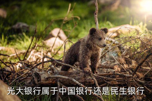 海寧光大銀行屬什么性質(zhì)，浙江海寧有光大銀行 嗎