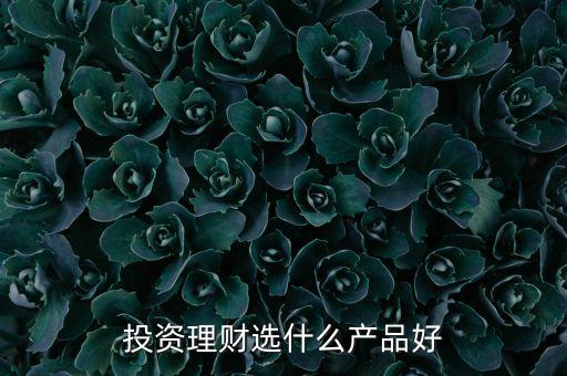 理財(cái)投資什么好，投資理財(cái)選什么產(chǎn)品好