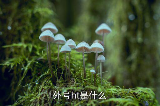 買受人號(hào)碼ht是什么，備案合同中買受人號(hào)碼HT