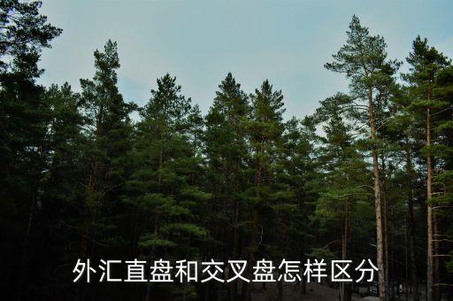 什么叫交叉盤，什么叫交叉盤hg0088誰能跟我指點一下嗎