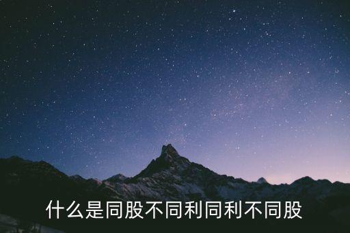 同利b是什么股票，b 股什么股票
