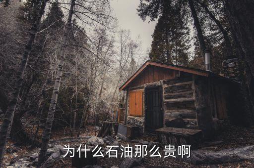 石油為什么這貴，石油為何那么貴