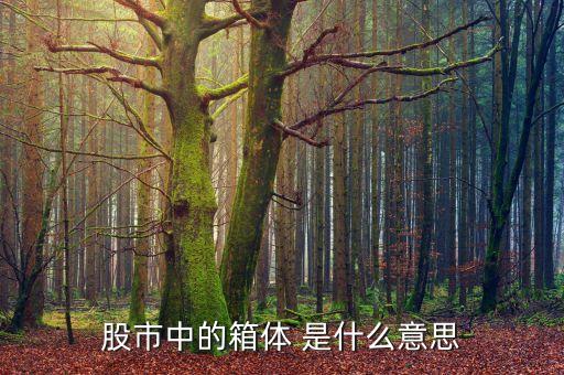 股市箱體是什么，股票的箱體指什么