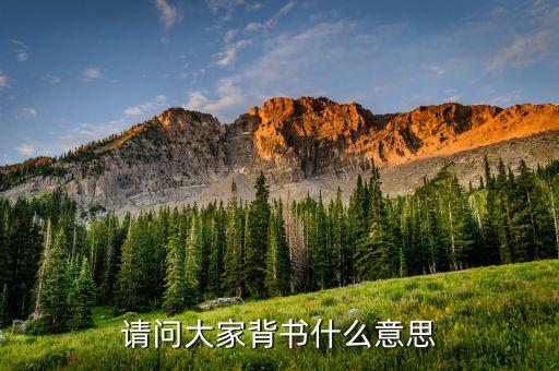 弱背書是什么意思，現(xiàn)在背書是什么意思是能背不能默還是