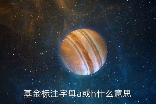 基金中的房地產(chǎn)a卷商a是什么意思，基金標注字母a或h什么意思