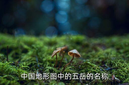 登海五岳21是什么軸，我家玉米登海五岳21不足一米就抽穗了還能結棒嗎