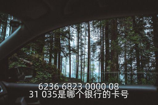6236開頭是什么銀行，6226 2001 0320 1654是什么銀行