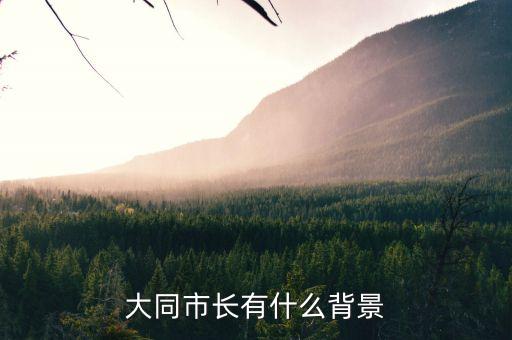 王挺革有什么背景，a rose for amily 的寫作背景是什么