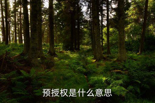 預授權(quán)是什么意思