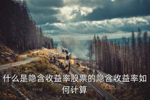 亞普汽車什么時候上市，誰知道隱含收益率是咋的回事的啊