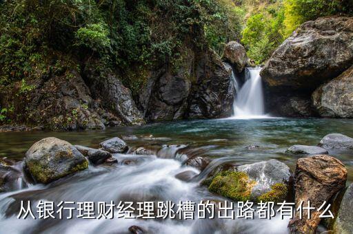 銀行的客戶經(jīng)理跳槽能做什么，銀行客戶經(jīng)理轉(zhuǎn)行可以做什么