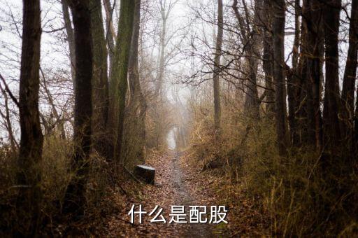 上市公司配股是什么，什么是配股