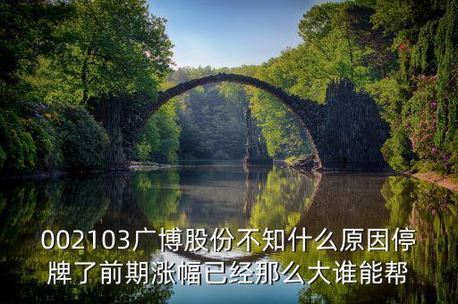 廣博股份什么時候復(fù)牌，002103廣博股份不知什么原因停牌了前期漲幅已經(jīng)那么大誰能幫