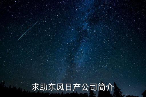 求助東風日產公司簡介