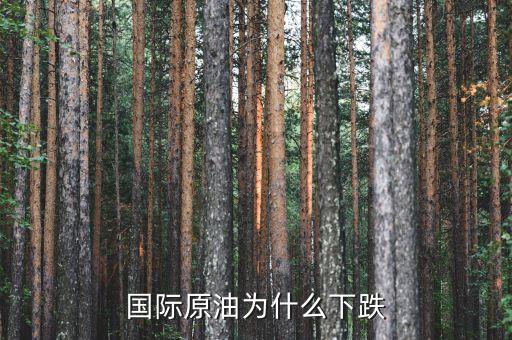 國際原油為什么暴跌，造成國際油價下跌的因素有哪些