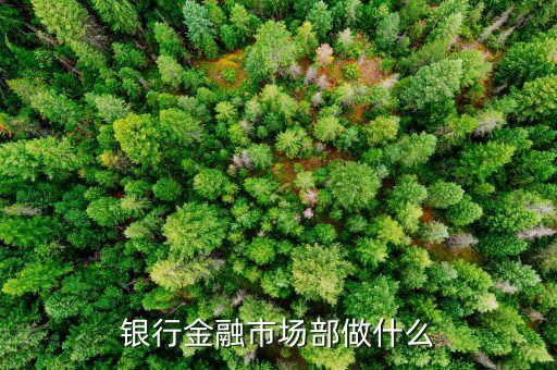 民生銀行金融市場(chǎng)部做什么，銀行金融市場(chǎng)部做什么