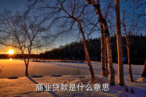 商信貸是什么，求商業(yè)銀行信貸業(yè)務簡介