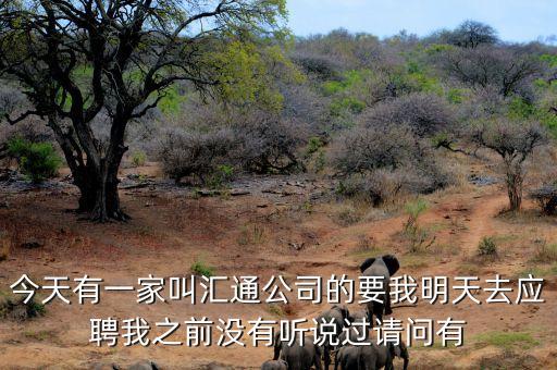 中銀匯通集團是干什么，今天有一家叫匯通公司的要我明天去應聘我之前沒有聽說過請問有