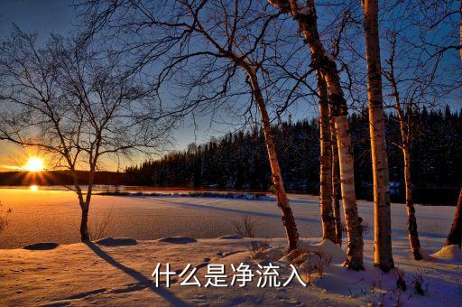 中單凈流入是什么意思，為什么中單凈流入與小單凈流入之和等于主力凈流入