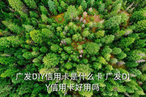 什么是diy信用卡，廣發(fā)DIY信用卡是什么卡 廣發(fā)DIY信用卡好用嗎