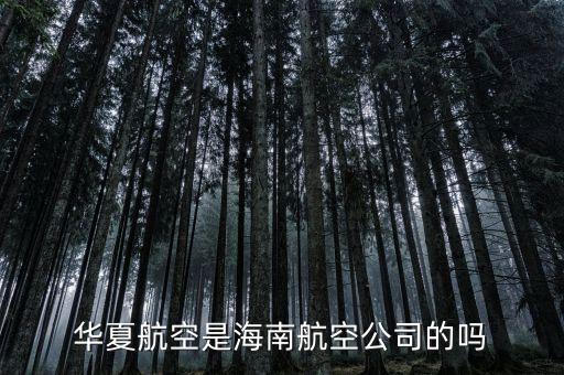首航什么時(shí)候配787，首都航空華夏航空長安航空哪個(gè)最好