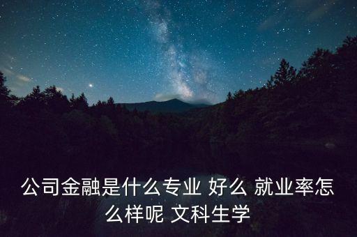什么叫公司金融，公司金融是什么專業(yè) 好么 就業(yè)率怎么樣呢 文科生學(xué)