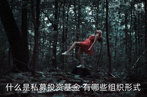 什么是募投資金，什么是私募投資基金 有哪些組織形式