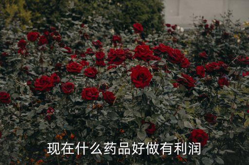 現(xiàn)在什么藥品好做有利潤(rùn)